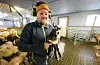 Killingen, som kanskje bør få nanmnet Gerrit såg dagens lys i stormen - nokre dagar før tida. — Det går med både kjeet og mora, seier Kristian Nordgård.FOTO: TORSTEÍN TYSVÆR NYMOEN