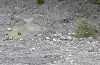 Restar etter betongslam er framleis synleg i deponiet.Foto: Privat
