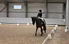 Lena Hollund Surland var på besøk frå Bryne hestesport-klubb for å konkurrere i dressur i helga, og syntest at alt var heilt topp med det nye interkommunale anlegget i Tysvær.
