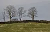 Ein steingard så lang og flott finn ein i Årvik i Vikebygd.