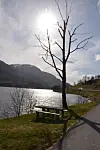 Rasteplassen ved Gjerdsdalsvatnet viser seg frå si finaste side, sjølv om det var for friskt til å ta ein liten rast og nyte naturen.