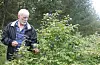 Alfred Mitchell (74) med ein sjeldan type blåbærplante som er utvikla i Noreg.Foto: Irene Mæland Haraldsen