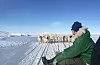 Hundeslædetur» i Ilulissat.