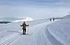 Skiløyper i Nuuk.