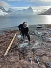 Ekteparet bygger hytte frå botn sjølv.