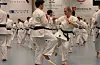 Lise Løvereide tok opp igjen karate etter ein pause på 15 år.