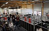 Норвежская компания AutoStore зафиксировала падение прибыли более чем на 800 миллионов крон