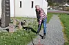 Gunnar Birkeland har fått i oppgåve å fjerna ugras i grusgangen.Foto: Irene Mæland Haraldsen